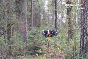 Wycieńczony mężczyzna znaleziony w lesie w Krzepicach