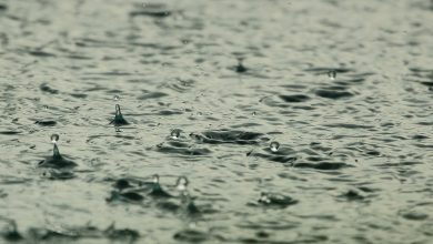 Bo 18 i 19 lipca to apogeum deszczowej pogody. Już podnoszą się stany rzek, a meteorolodzy wydali właśnie ostrzeżenie przed intensywnymi opadami! (fot.poglądowe/www.pixabay.com)