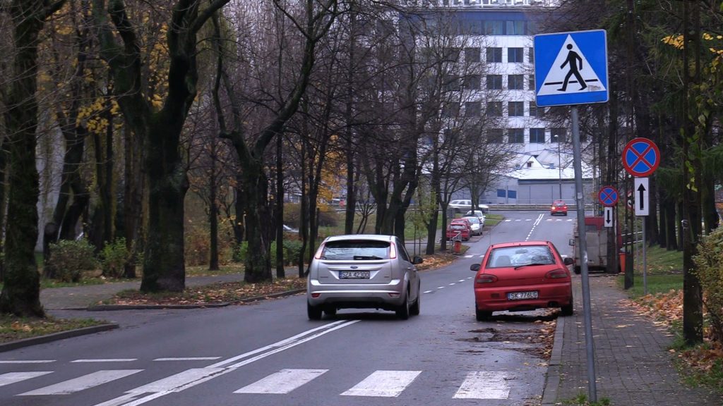 W miejscu, gdzie ma powstać parking w katowickiej dzielnicy Wełnowiec jest 16 topól, a będzie 13 miejsc parkingowych