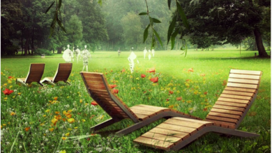 Park Chrobrego w Gliwicach zmieni się nie do poznania! Ależ będzie pięknie