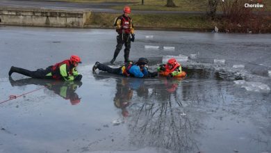 Dej pozor co niy ujedziesz [ZDJĘCIA] Akcja policji i strażaków w Parku Śląskim