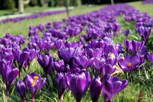 Pogoda na majówkę 2018[1-3.05.2018] Jaka pogoda czeka nas w najbliższe dni?