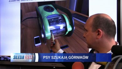 Wojsko, psy, roboty, ratownicy górniczy. Coraz większe siły biorą udział w akcji w Zofiówce