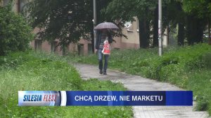 Wycinka drzew pod hipermarket w Mysłowicach? Mieszkańcy są zbulwersowani!