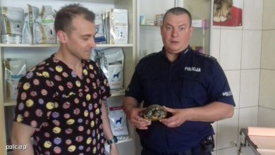 Żółw "Szybki Lopez" konwojowany przez policję do weterynarza. To nie żart! [ZDJĘCIA] (fot.www.policja.pl)