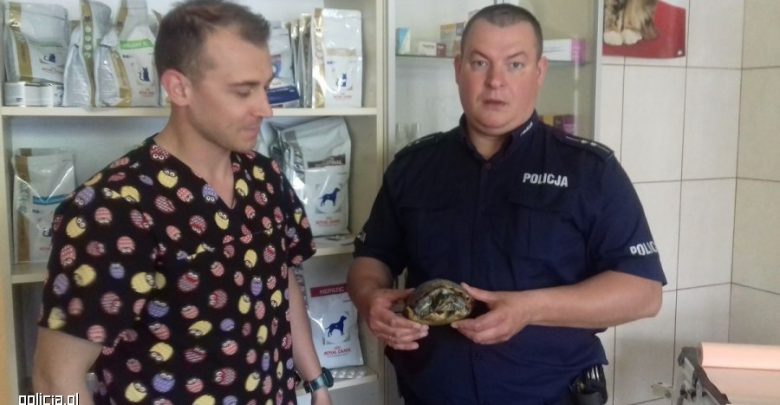 Żółw "Szybki Lopez" konwojowany przez policję do weterynarza. To nie żart! [ZDJĘCIA] (fot.www.policja.pl)