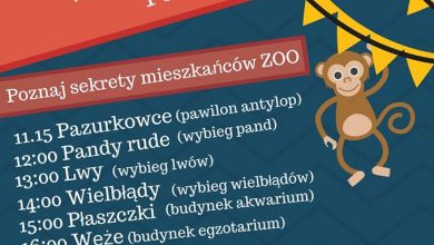 Dzień dziecka w Śląskim Ogrodzie Zoologicznym. Dzieci do zoo wchodzą za free:) (fot.Śląski Ogród Zoologiczny/fb)