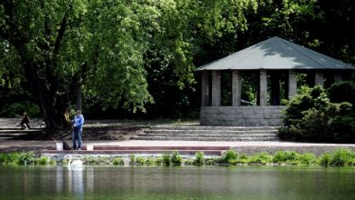 W Parku Śląskim ruszyły prace rewitalizacyjne. Na dobry początek – Łabędziarnia