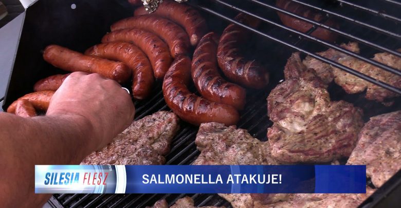 Coraz więcej przypadków zatrucia salmonellą na Śląsku! Sanepid ostrzega, bo wracają upały