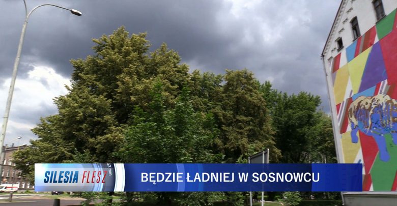 Sosnowiec: W mieście powstanie mural nawiązujący do lasu [WIDEO] (fot.mat.TVS)