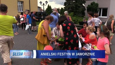 Jaworzno: Parafialny Festyn Anielski w Dąbrowie Narodowej [WIDEO] (fot.mat.TVS)