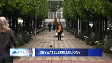 Śląskie: Na co pójdą pieniądze z miejskich budżetów obywatelskich? [WIDEO] (fot.mat.TVS)