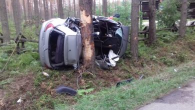 Wyprzedzała i uderzyła w drzewo. Kierująca audi i pasażerka zginęły na miejscu (fot.Policja Podkarpacka)