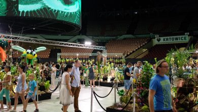 Niebezpieczne rośliny w Katowicach, czyli Festiwal Roślin Owadożernych "Magiczna Dżungla" w Spodku [WIDEO] (fot.Paweł Jędrusik)