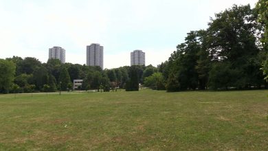 Katowice chcą Park Śląski? Chorzów odpowiada: Oddajcie nam Osiedle Tysiąclecia!