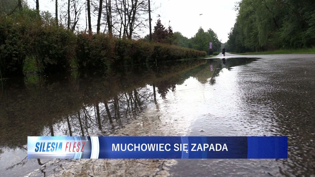 Dolina Trzech Stawów w Katowicach coraz bardziej niszczona przez szkody górnicze!