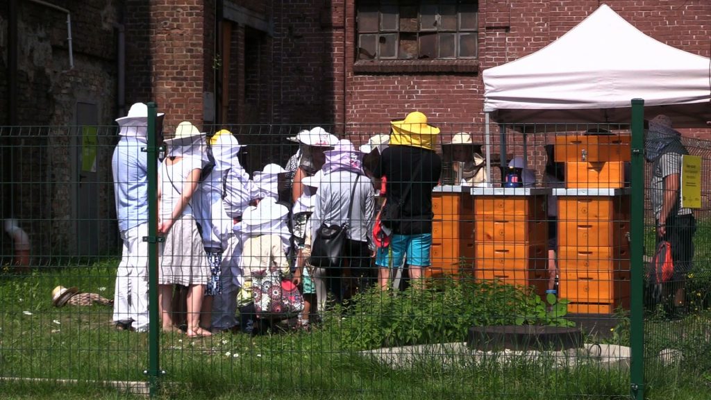 „Tajemnice pszczelego ula” to warsztaty jakie zostały zorganizowane w Katowicach przez Muzeum Śląskie