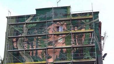 Sosnowiec: Kamienicę obrósł las! Niesamowity mural powstał przy ul.Kościelnej