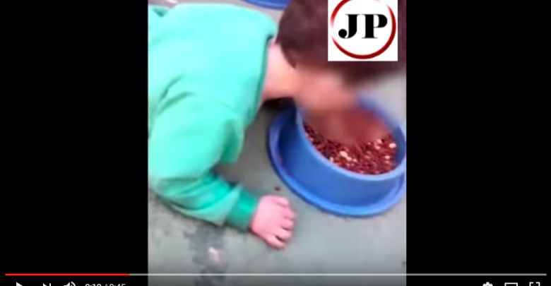 Dziecko je psią karmę (fot. youtube Jornal Populacional)