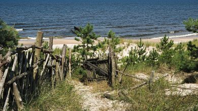 Sinice w Bałtyku! Zamknięto nadmorskie kąpieliska /www.pixabay.com)