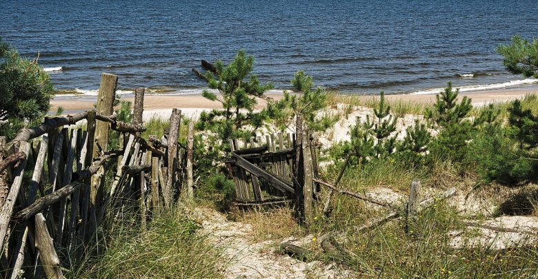 Sinice w Bałtyku! Zamknięto nadmorskie kąpieliska /www.pixabay.com)