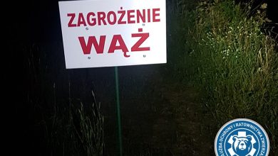 Zakończono poszukiwania pytona znad Wisły! (fot. Animal Rescue Poland)