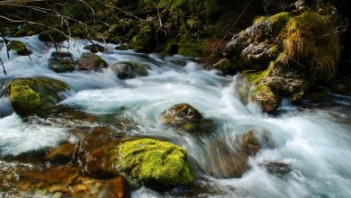 Niebezpiecznie w górach. TOPR ostrzega! (fot.poglądowe/www.pixabay.com)