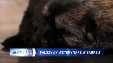 Zabrze: Fałszywy weterynarz w rękach policji. Nie wiadomo, czym szczepił zwierzęta [WIDEO] (fot.mat.TVS)