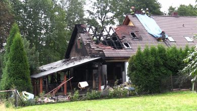 Śląskie: Pożar w hotelu dla psów. Sześć czworonogów udało się uratować [WIDEO] (fot.mat.TVS)