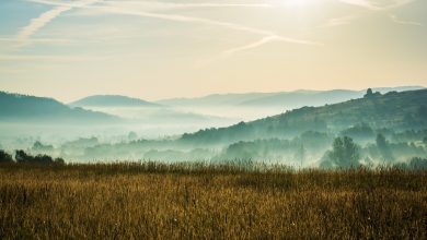 Co zobaczyć na Śląsku 2 (fot. pixabay.com)