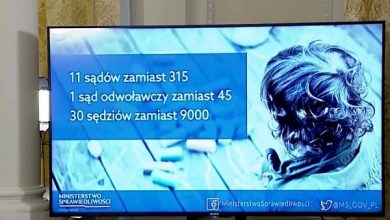 Koniec bezprawnego odbierania polskich dzieci rodzinom za granicą! Ich obroną zajmą się specjalne sądy (fot.TVP Info)