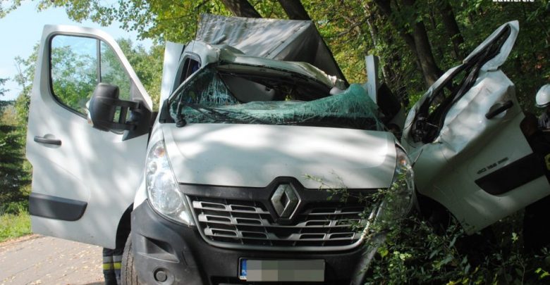 Dramatyczne sceny na drodze w Porębie. Pijany kierowca dostawczaka staranował Skodę. Ucieczkę z miejsca wypadku zakończył na drzewie (fot. KPP Zawiercie)