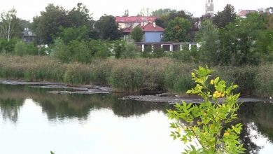 Szacuje się, że w Kalinie zalega ponad 20 tys. metrów sześciennych osadów dennych. Zanieczyszczona jest woda oraz ziemia wokół stawu