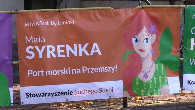 Będzin: Syrenka, wilk i Czerwony Kapturek startują w wyborach? Tajemnicze banery przy Teatrze Dzieci Zagłębia