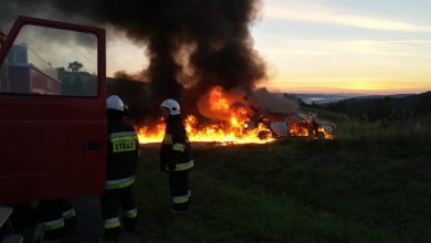 "W trakcie jazdy zauważył dym i ogień wydobywające się z deski rozdzielczej". Auto 61-latka spłonęło doszczętnie [FOTO] (fot.Policja Podkarpacka)