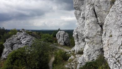 22 września rusza Juromania - pierwsze Święto Szlaku Orlich Gniazd na Jurze Krakowsko-Częstochowskiej (fot.Wojciech Żegolewski)