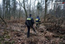 Tragedia w gminie Jemielnica: Martwa grzybiarka znaleziona w lesie!