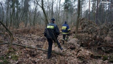 Tragedia w gminie Jemielnica: Martwa grzybiarka znaleziona w lesie!