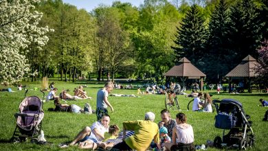 Nowe kąpielisko "Fala", odbudowa wąskotorówki i remont hali "Kapelusz". Rusza rewitalizacja Parku Śląskiego (fot.Park Śląski)