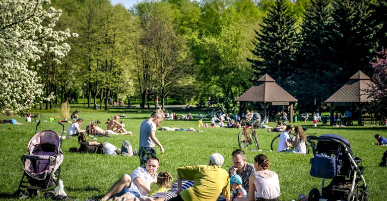 Nowe kąpielisko "Fala", odbudowa wąskotorówki i remont hali "Kapelusz". Rusza rewitalizacja Parku Śląskiego (fot.Park Śląski)