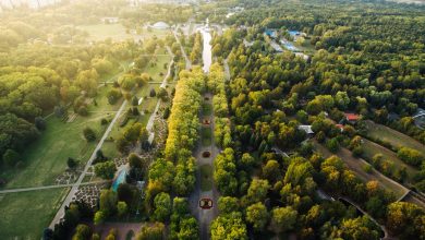 Nowe kąpielisko "Fala", odbudowa wąskotorówki i remont hali "Kapelusz". Rusza rewitalizacja Parku Śląskiego (fot.Park Śląski)