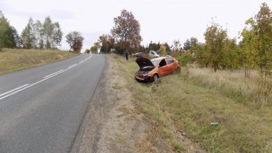 Fiat, którym podróżowało dwóch pijanych mężczyzn wyleciał z drogi i pozwiedzał przydrożny rów (fot.policja)