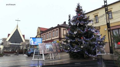 W Dąbrowie Górniczej i Jaworznie mieszkańcy wybierają choinkę na święta