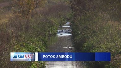 Mieszkańcy Rudy Śląskiej mają dość smrodu z rozlewiska przy Potoku Bielszowickim