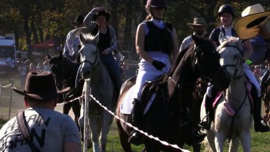 Hubertus, czyli pogoń za lisem. W Zabrzu zakończono sezon jeździecki 2018