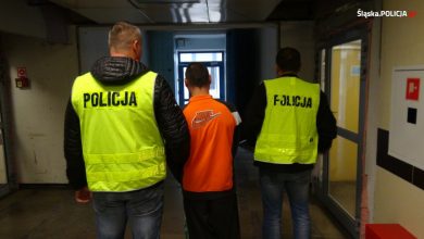 Śląskie: Skarb Państwa stracił przez nich ok. 32 mln złotych. Karuzela się zatrzymała (fot.Śląska Policja)