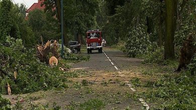 Silny wiatr w woj.śląskim: o poranku bez prądu 6 tys. odbiorców