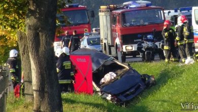 Śmiertelny wypadek w Ochabach. Z drogi wyleciała osobowa Toyota, którą jechała kobieta i dwójka dzieci (fot.Michał Fielek, ViFi.pl)