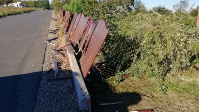 Staranował ponad 40 metrów ogrodzenia, zgubił tablicę rejestracyjną, samochód schował w lesie i uciekł. 18-latek był pijany (fot.Policja Lubelska)