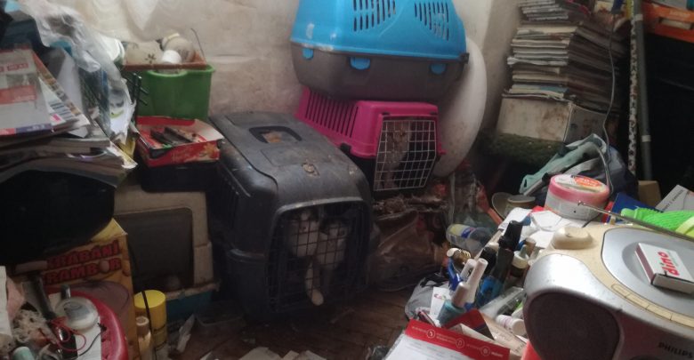 W takich warunkach [FOTO] trzymał w mieszkaniu około 20 kotów i psa. Sąsiedzi nie mogli znieść fetoru (fot.Straż Miejska Wrocław)
